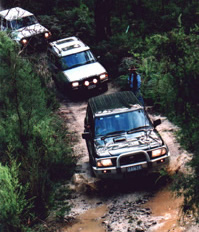 convey of 4WD's