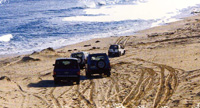 at the beach